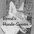 Bernd's Hunde-Service